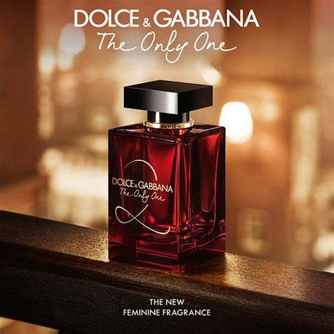 dolce gabbana the only one 2 fragrantica